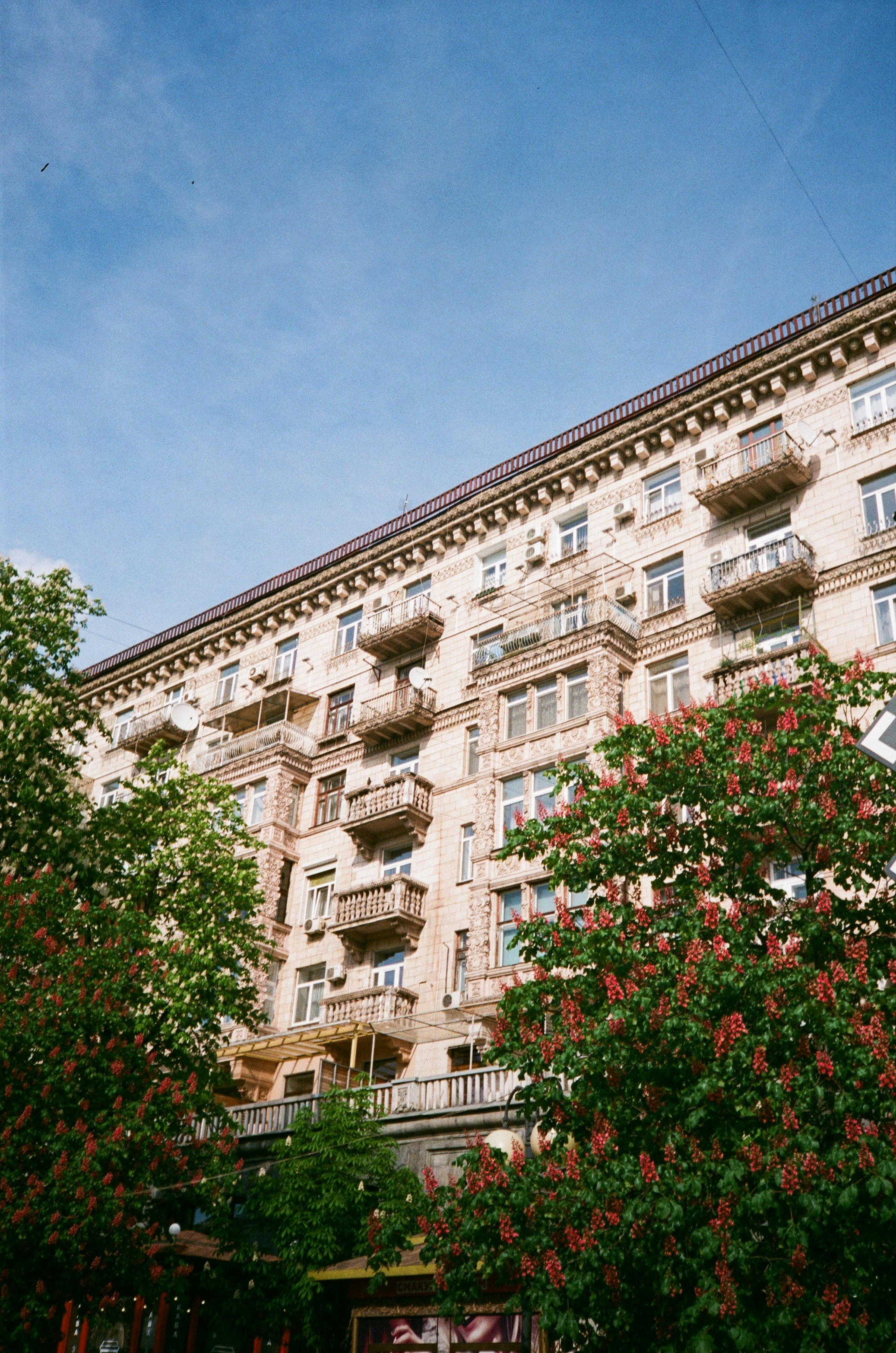 Photo by zhashkevych