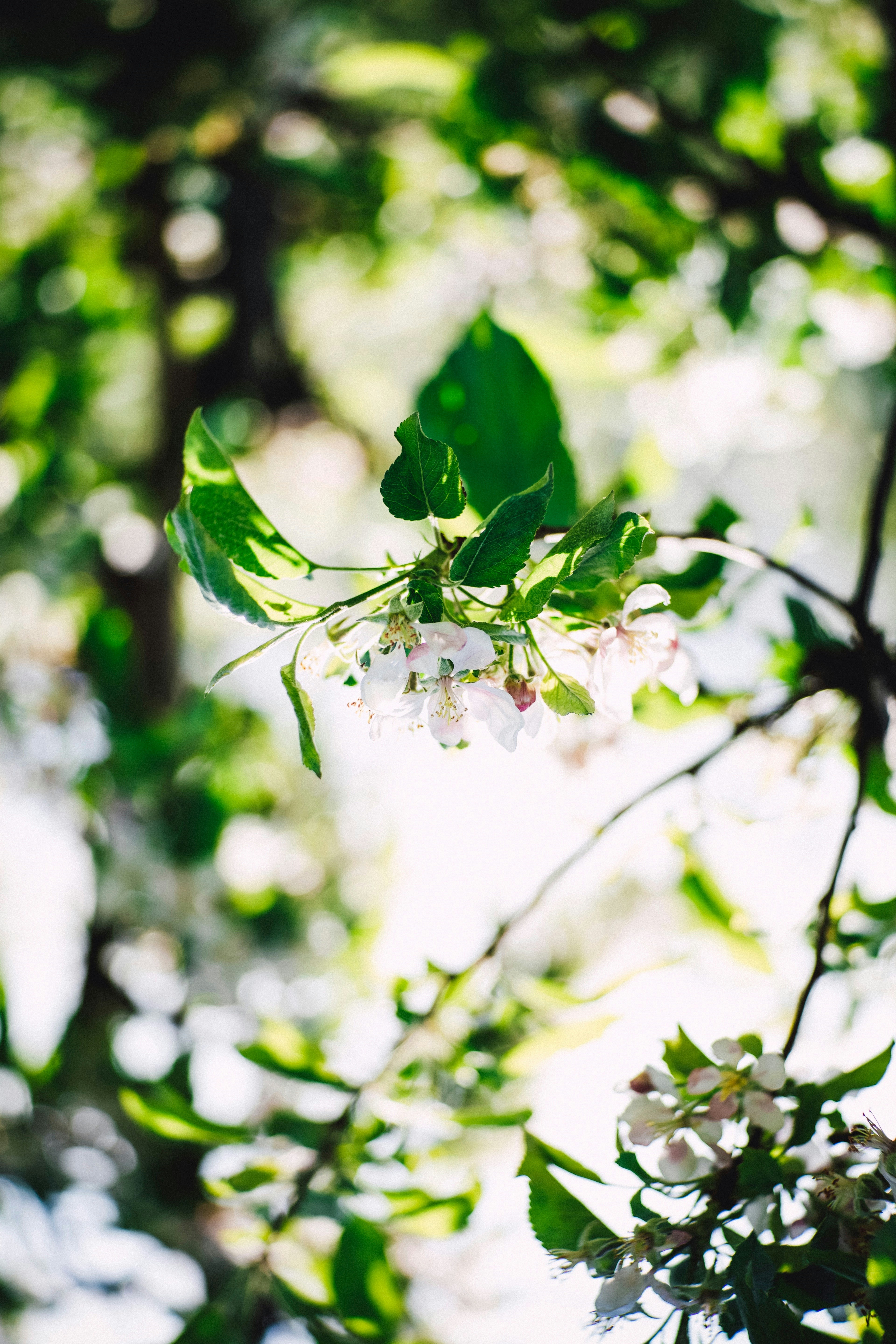 Photo by faivish_pewzner