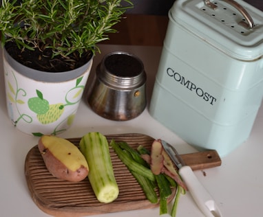 green plant on white and purple floral ceramic pot