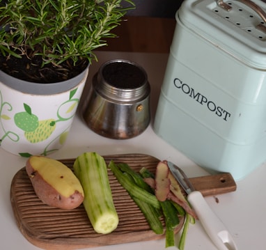 green plant on white and purple floral ceramic pot