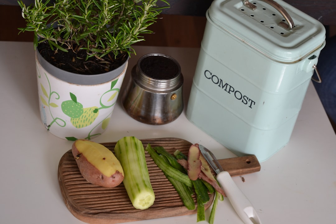 green plant on white and purple floral ceramic pot, Composting and sorting of biowaste from household