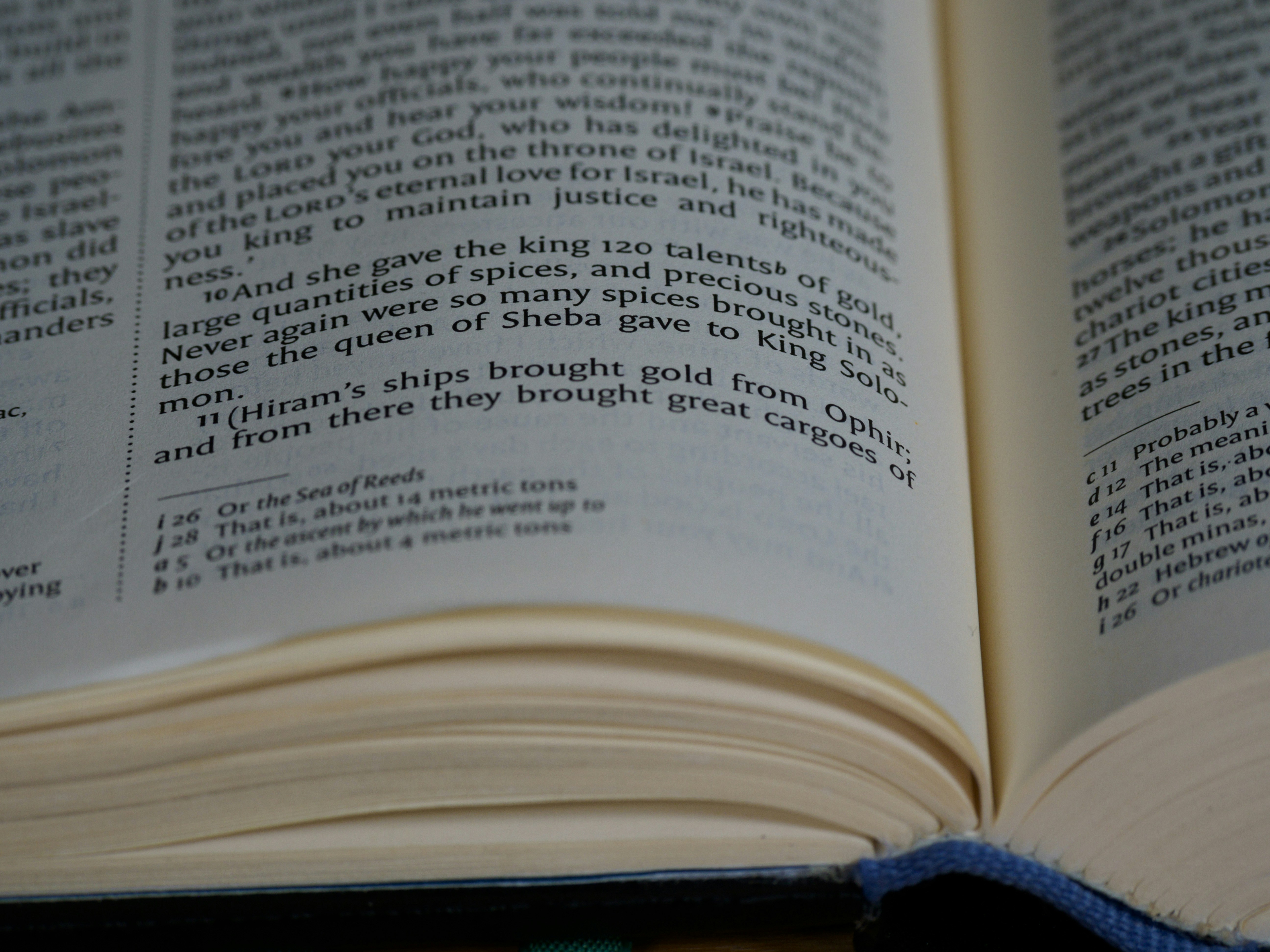 Photo by brett_jordan