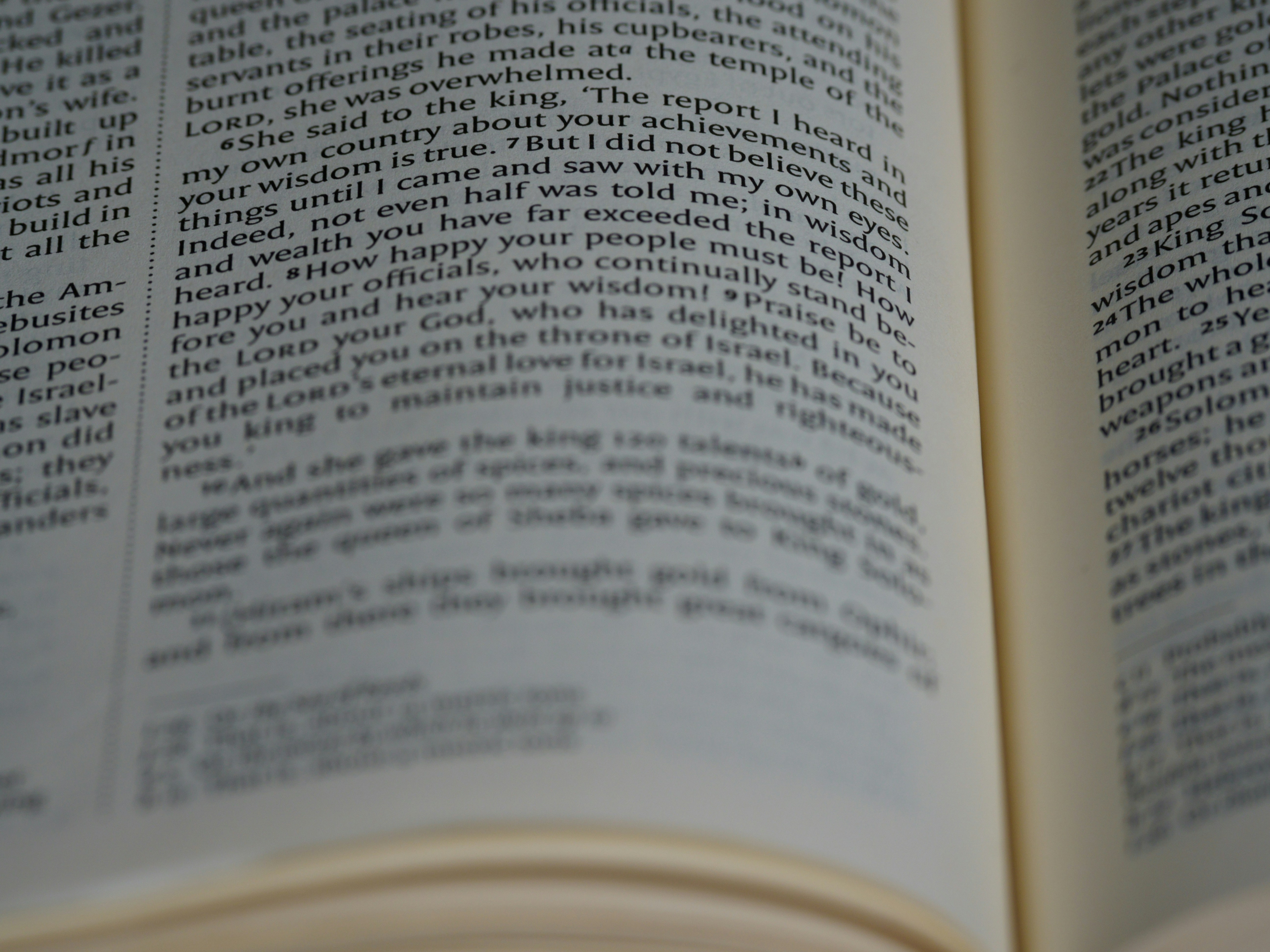 Photo by brett_jordan