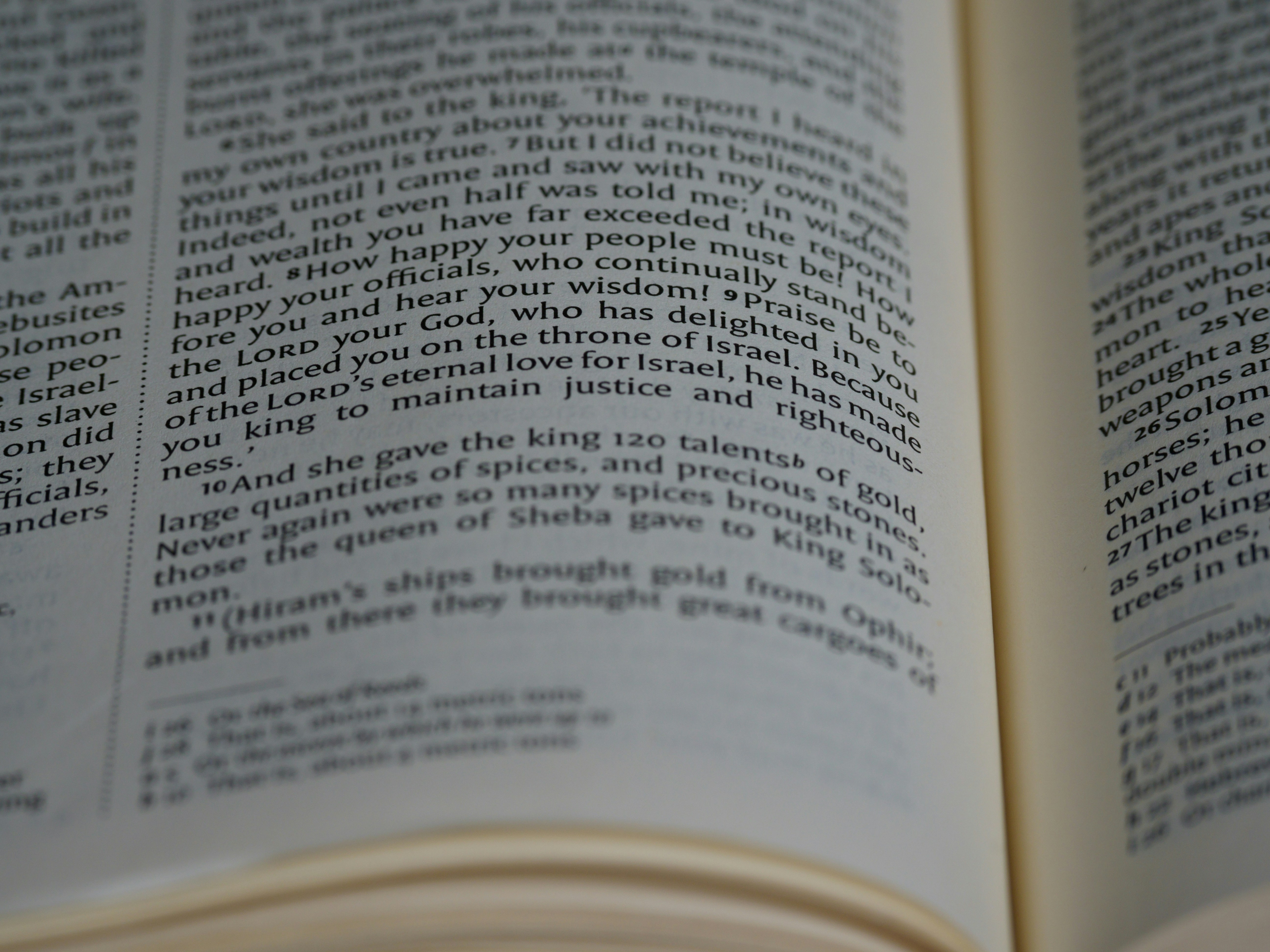 Photo by brett_jordan