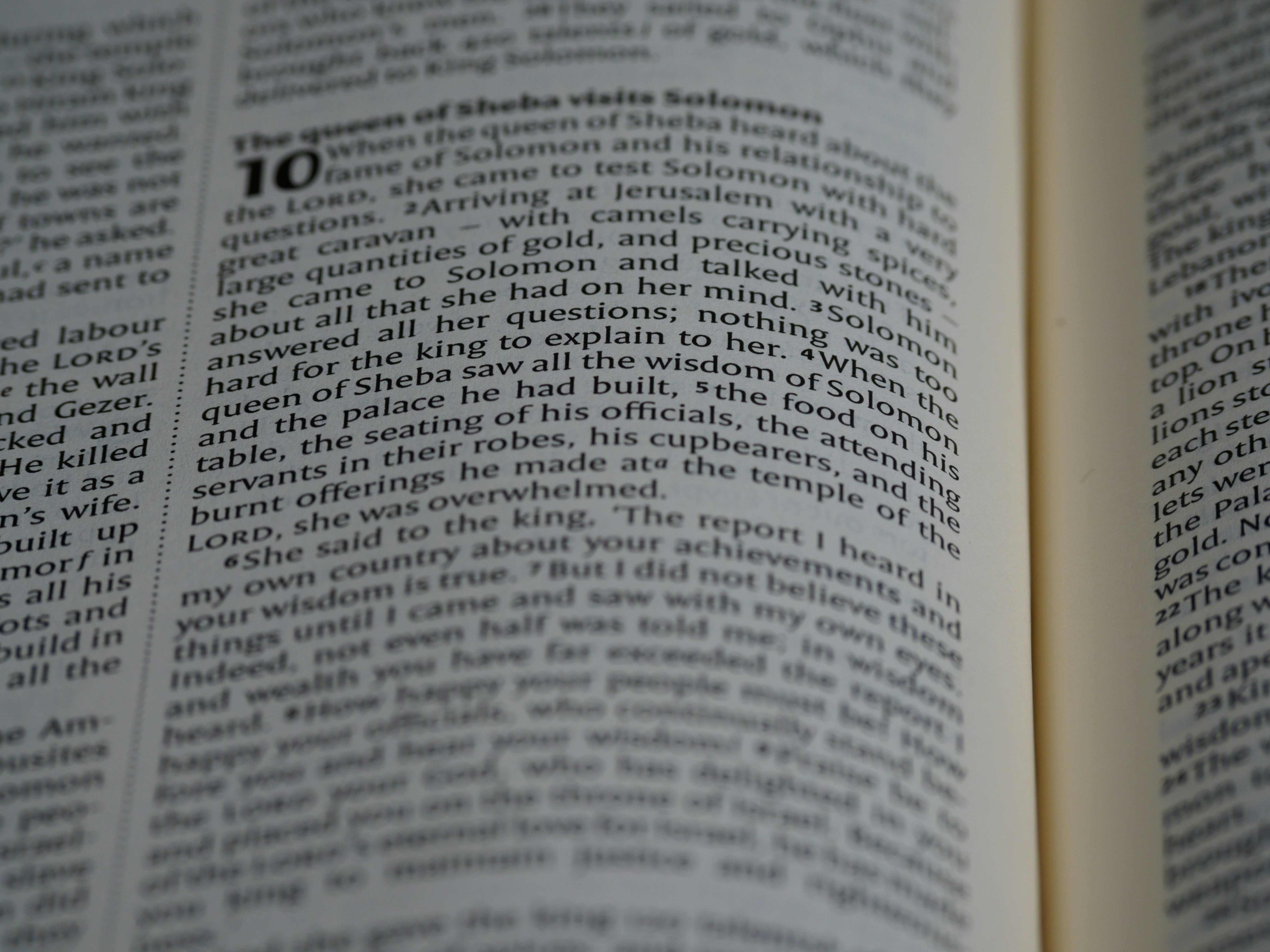 Photo by brett_jordan