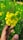 Close-up of hands gently holding a blooming flower symbolizing growth and healing.