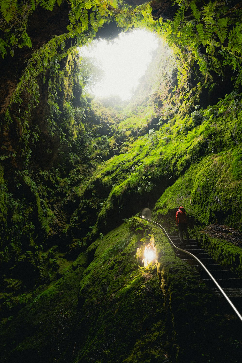 people walking on pathway between green mountains during daytime