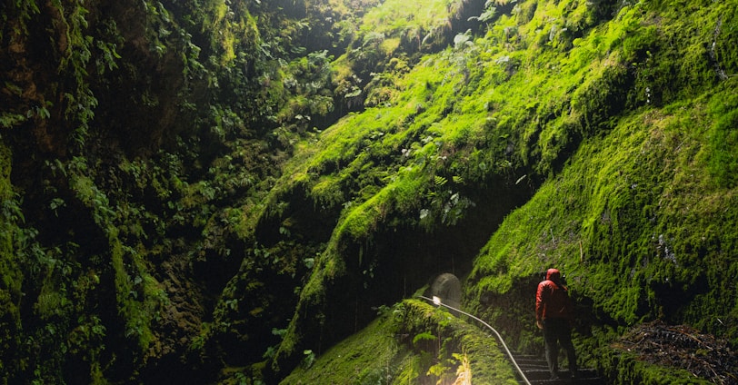 people walking on pathway between green mountains during daytime