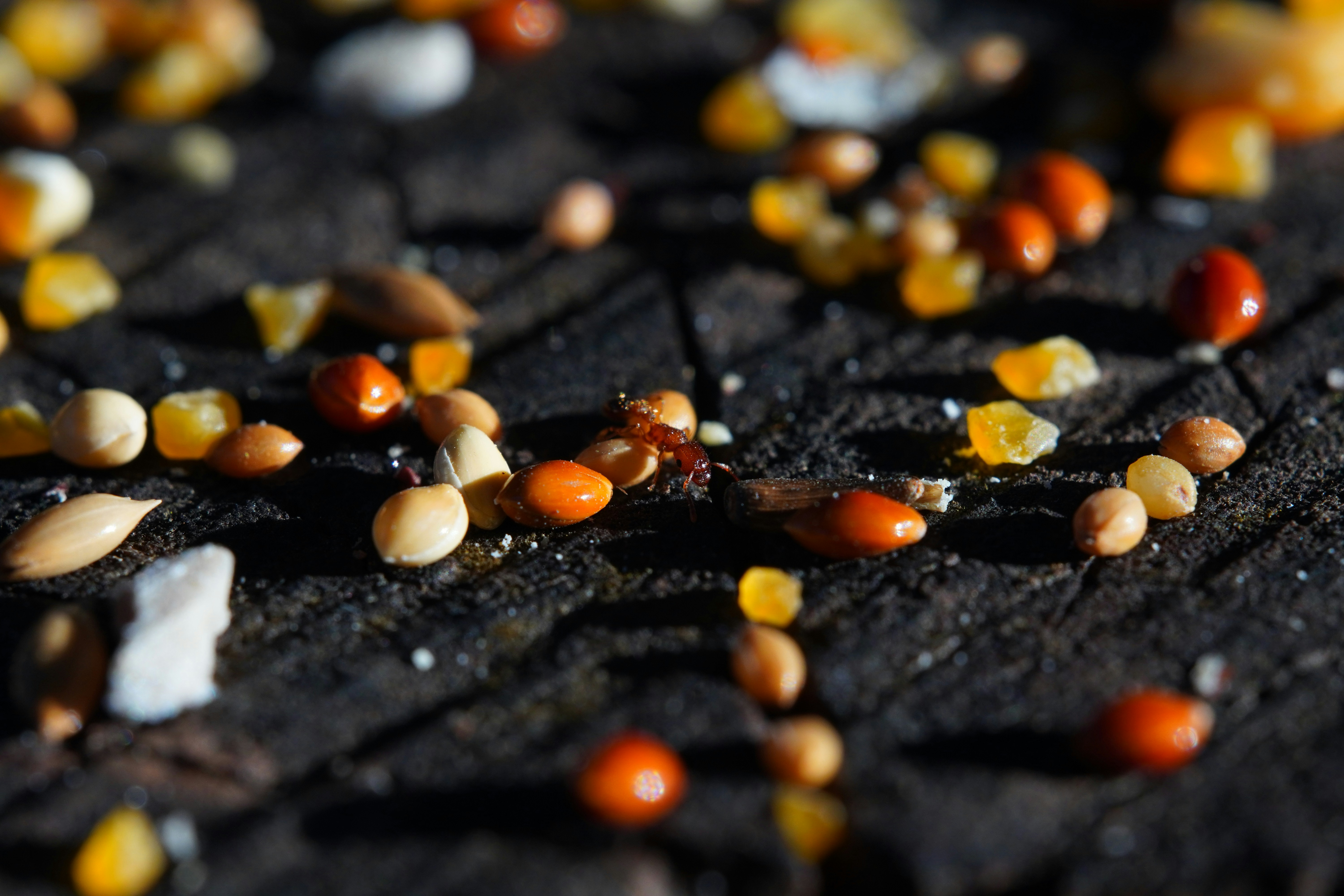 brown and white beads on black surface