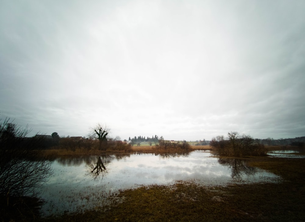 lake surrounded by trees under white sky