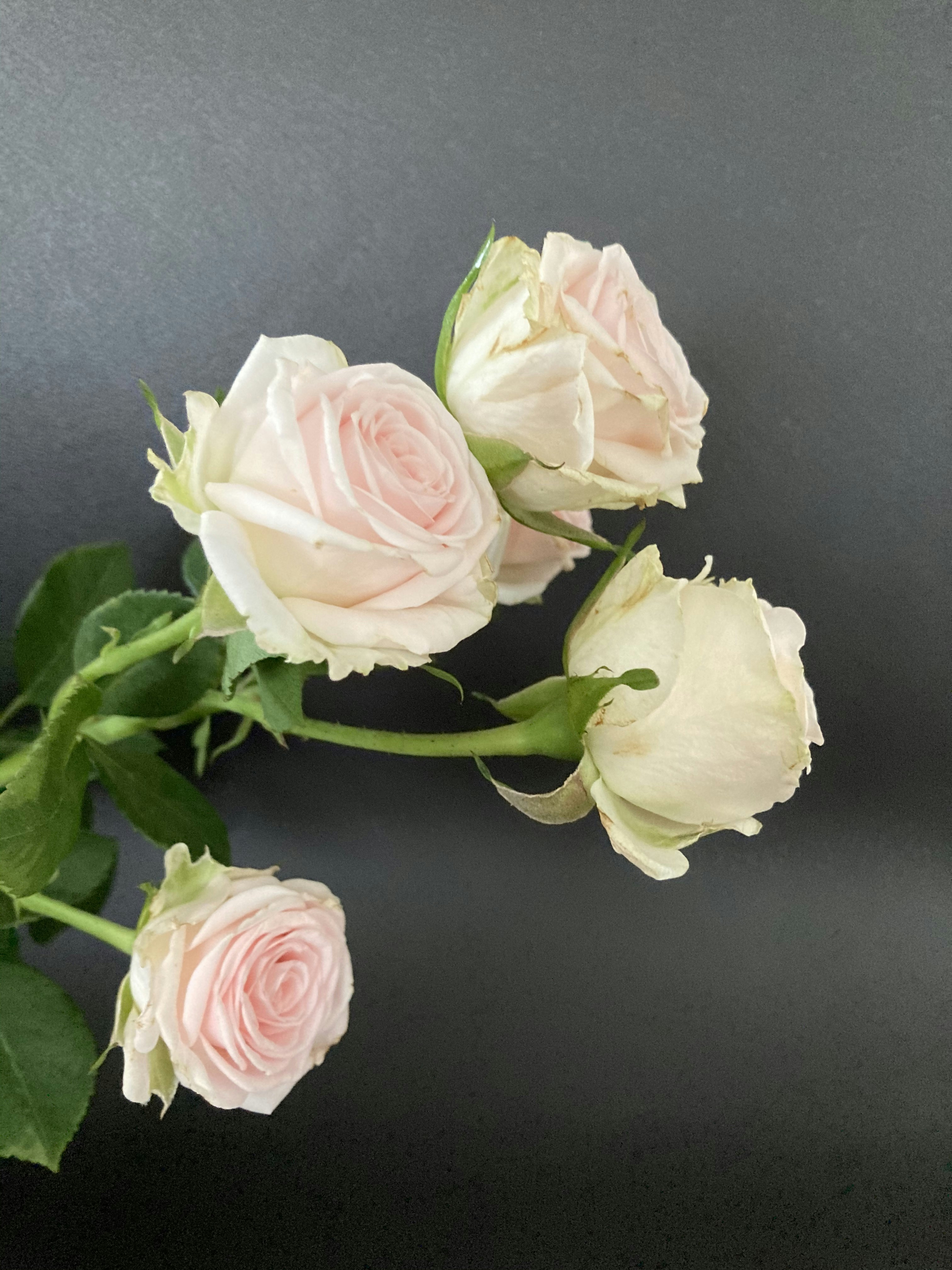 Photo by foezdemirzaech