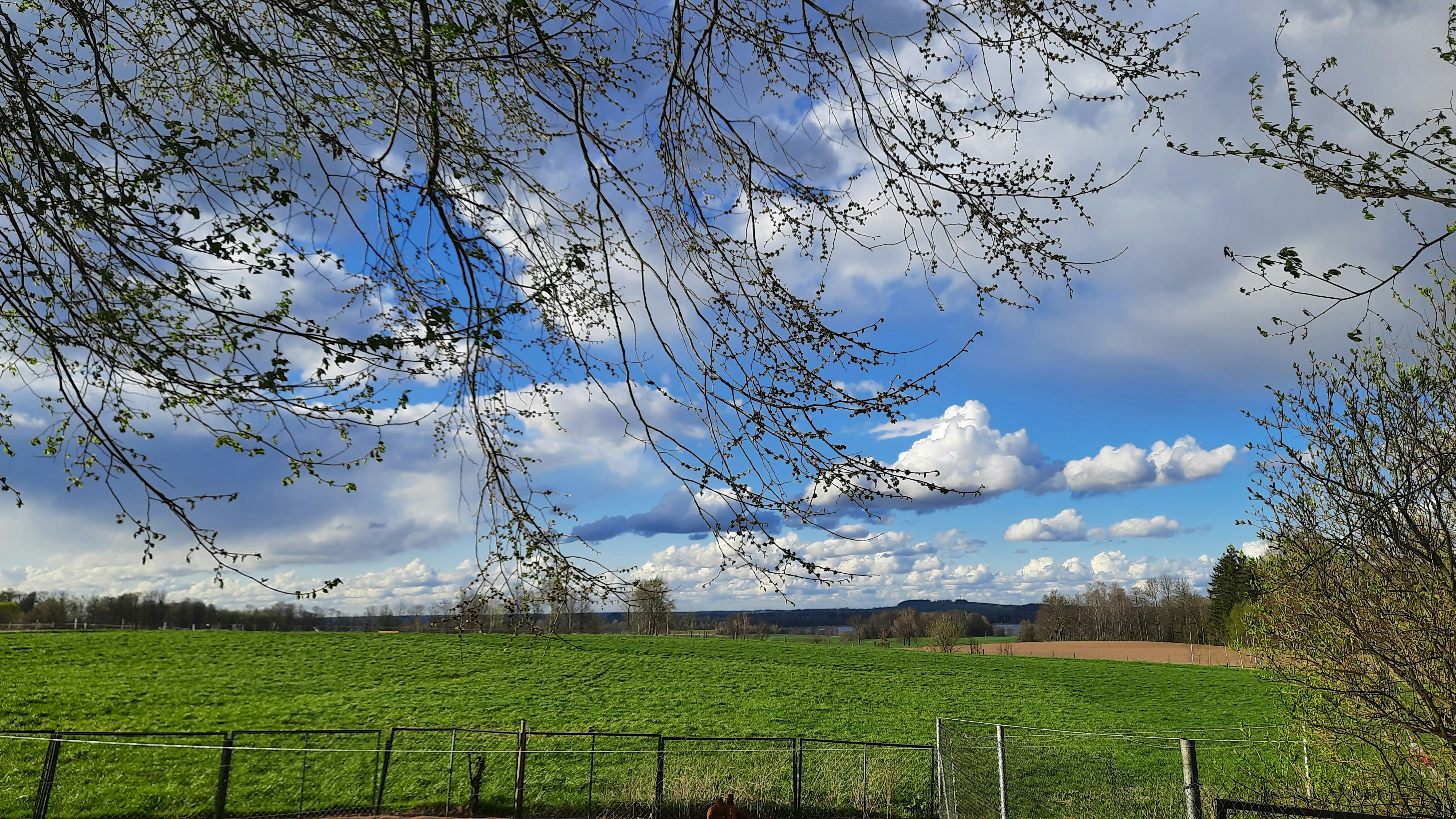 Photo by masuren_men