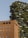 A modern building with an innovative design incorporating greenery and trees on its balconies is juxtaposed with a traditional brick apartment building. The vertical garden creates a striking contrast with the red-bricked structure.