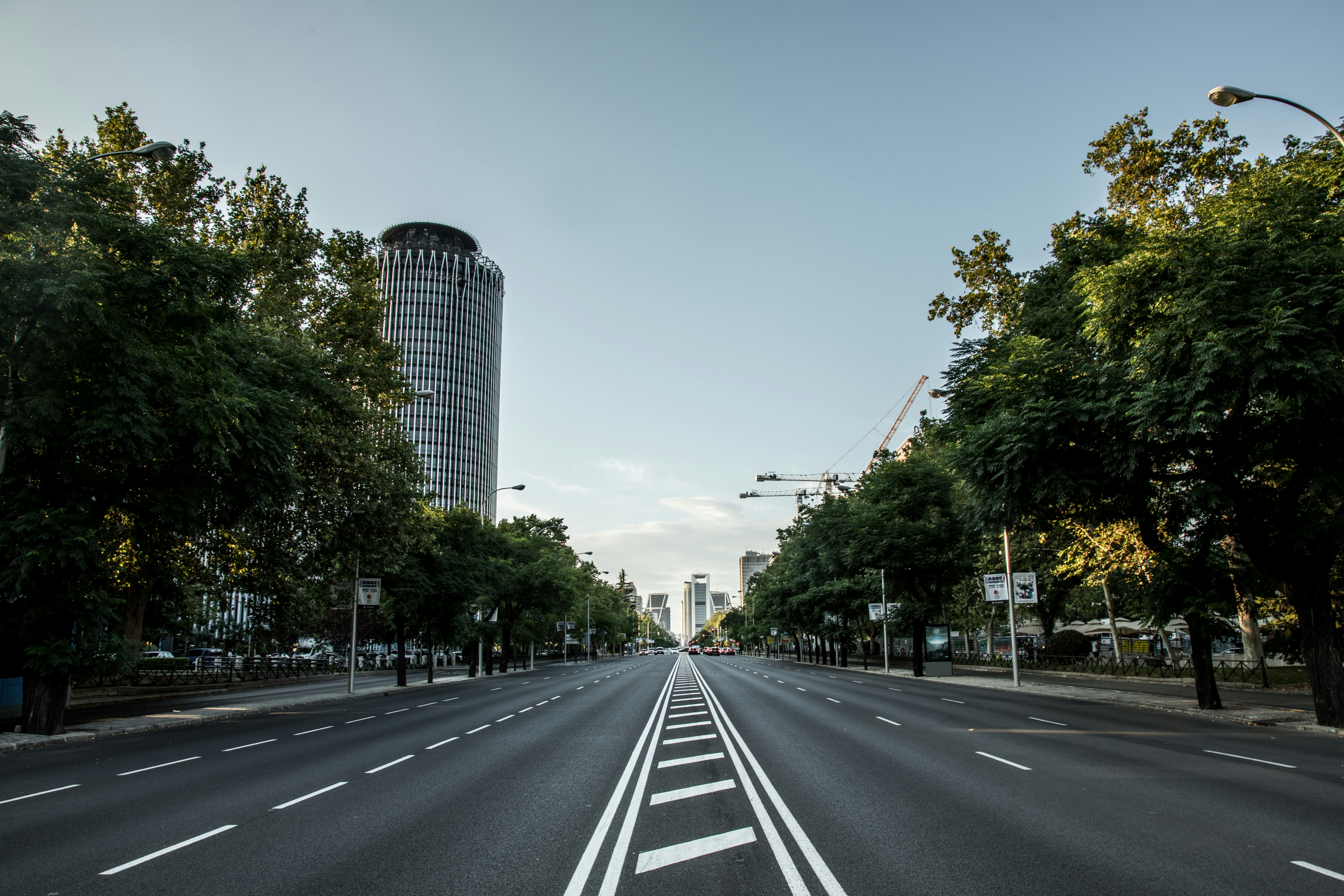 gray concrete road between green trees and high rise building during daytime, 