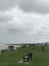 A coastal landscape featuring a row of colorful beach huts along the shore with a grassy area in the foreground. Several benches are placed on the grass, providing a view of the sea. Overcast skies contribute to a somber atmosphere. Houses and buildings are visible in the background along with a few people walking.