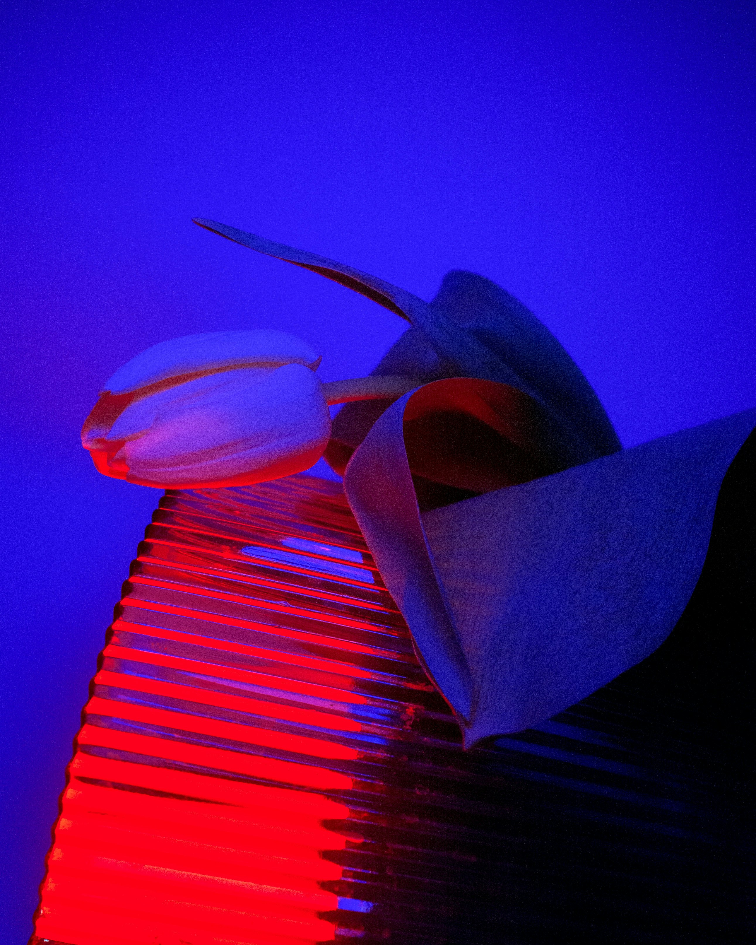 barchetta di carta blu e arancione