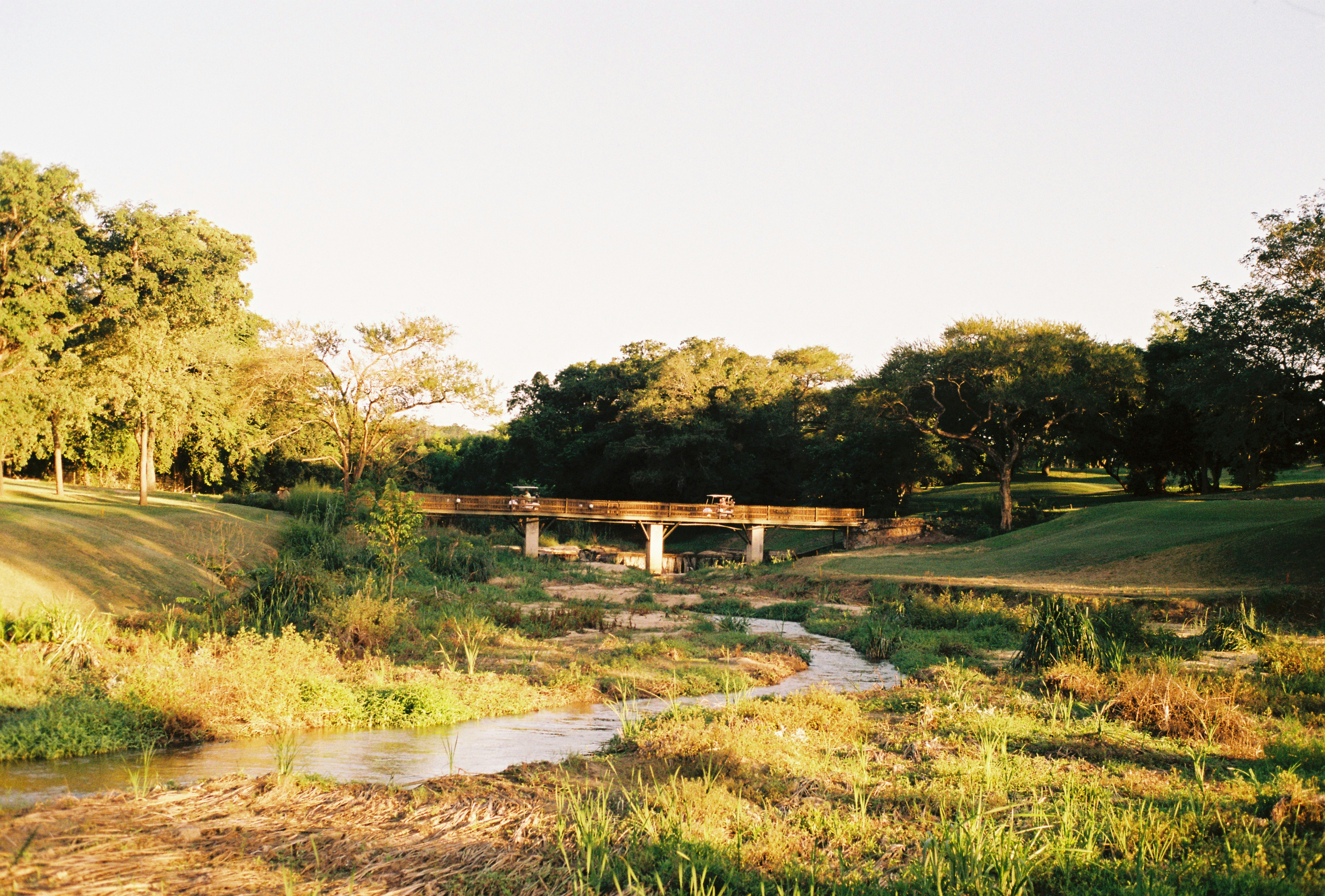 brown wooden bridge over river