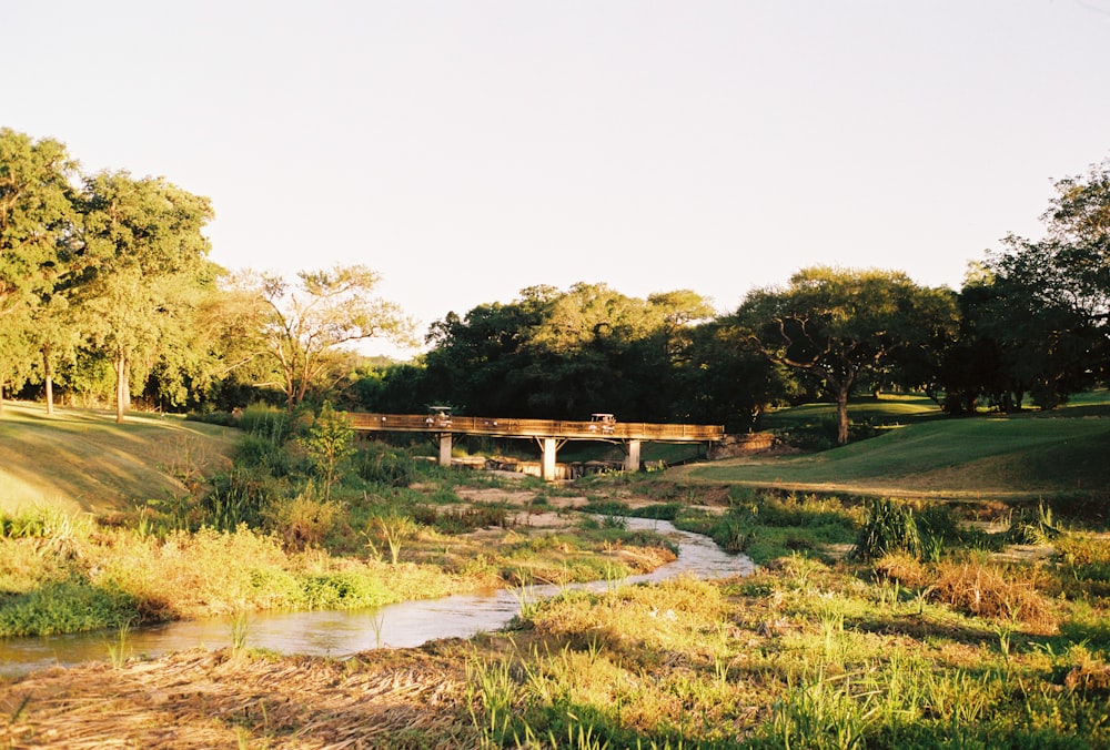 brown wooden bridge over river