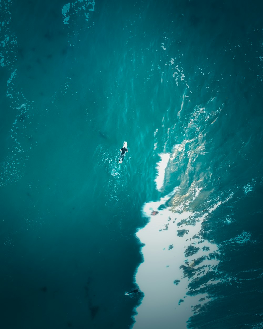 person in black wet suit swimming on blue water