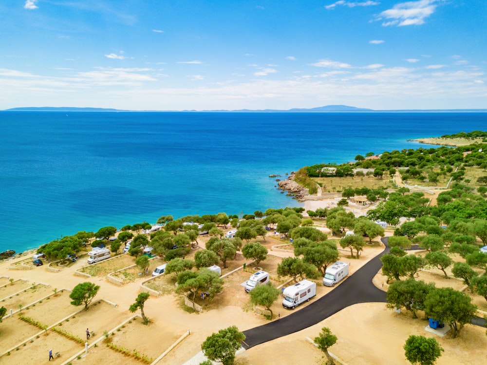 aerial view of green trees near blue sea during daytime