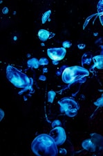 A captivating scene from an environmental documentary.
