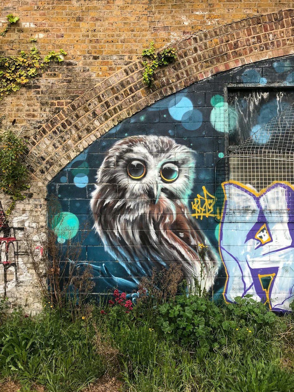 owl graffiti on brick wall
