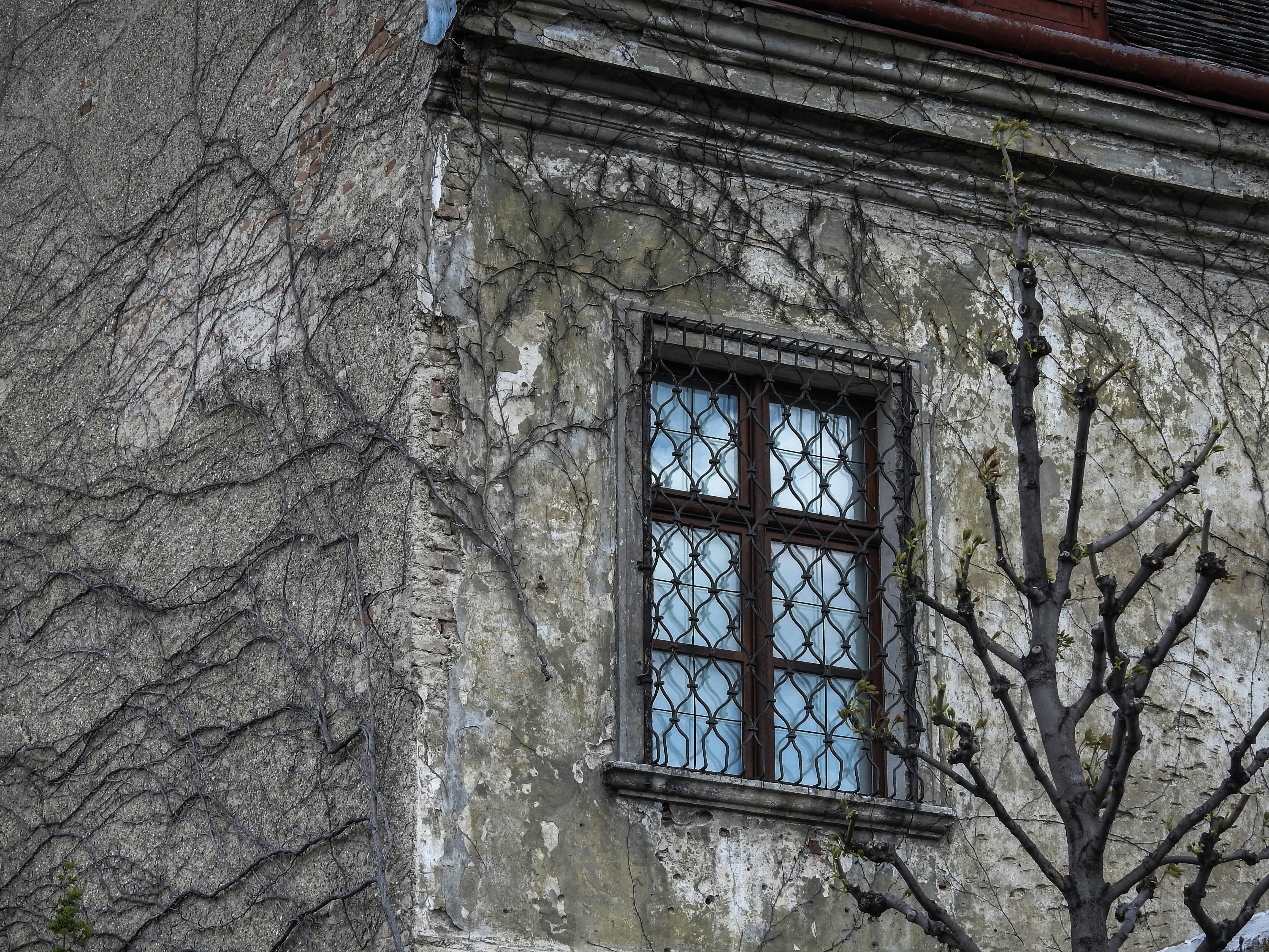 Photo by jasmin0rath