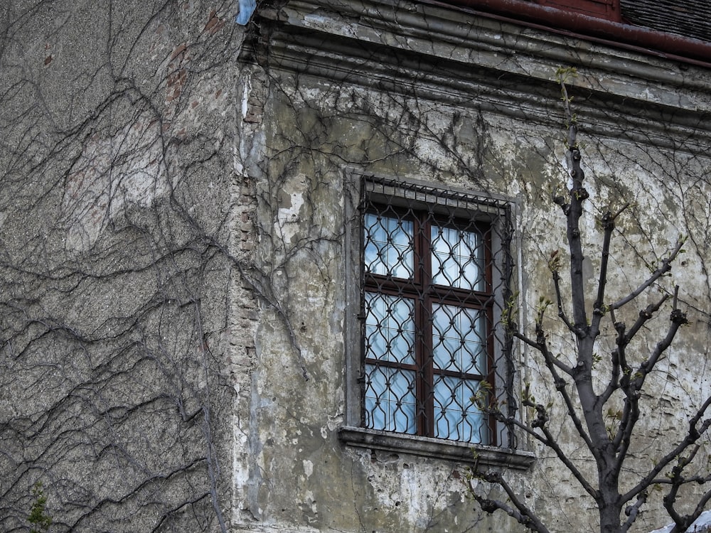 brown wooden framed glass window