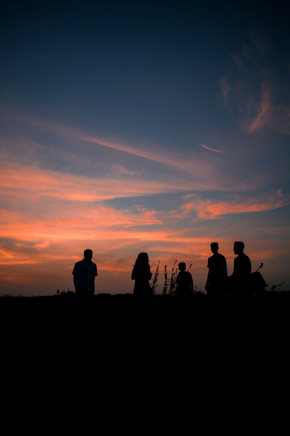 silhouette of people standing on grass field during sunset