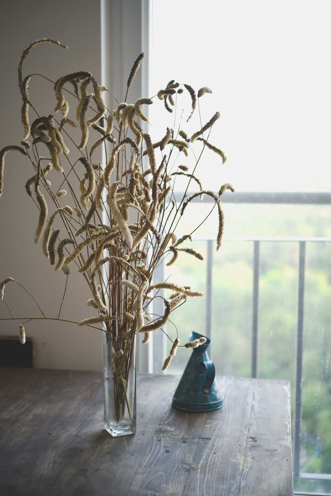 brown leafless plant in blue glass vase