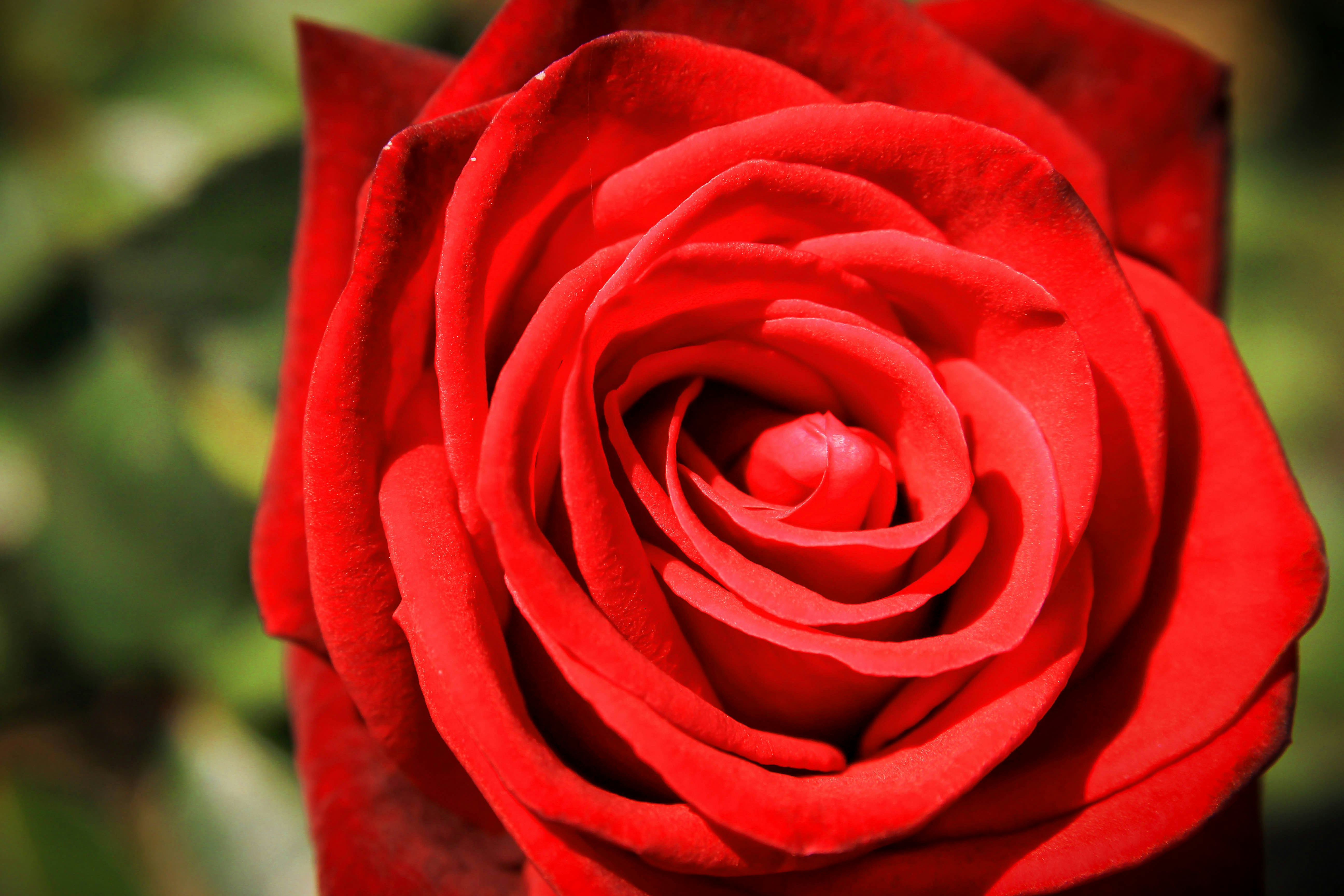 Photo by booksandcoffeestories