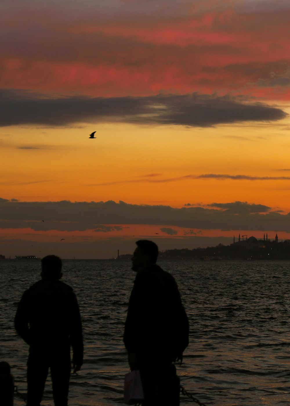 silhouette of 2 person standing near body of water during sunset