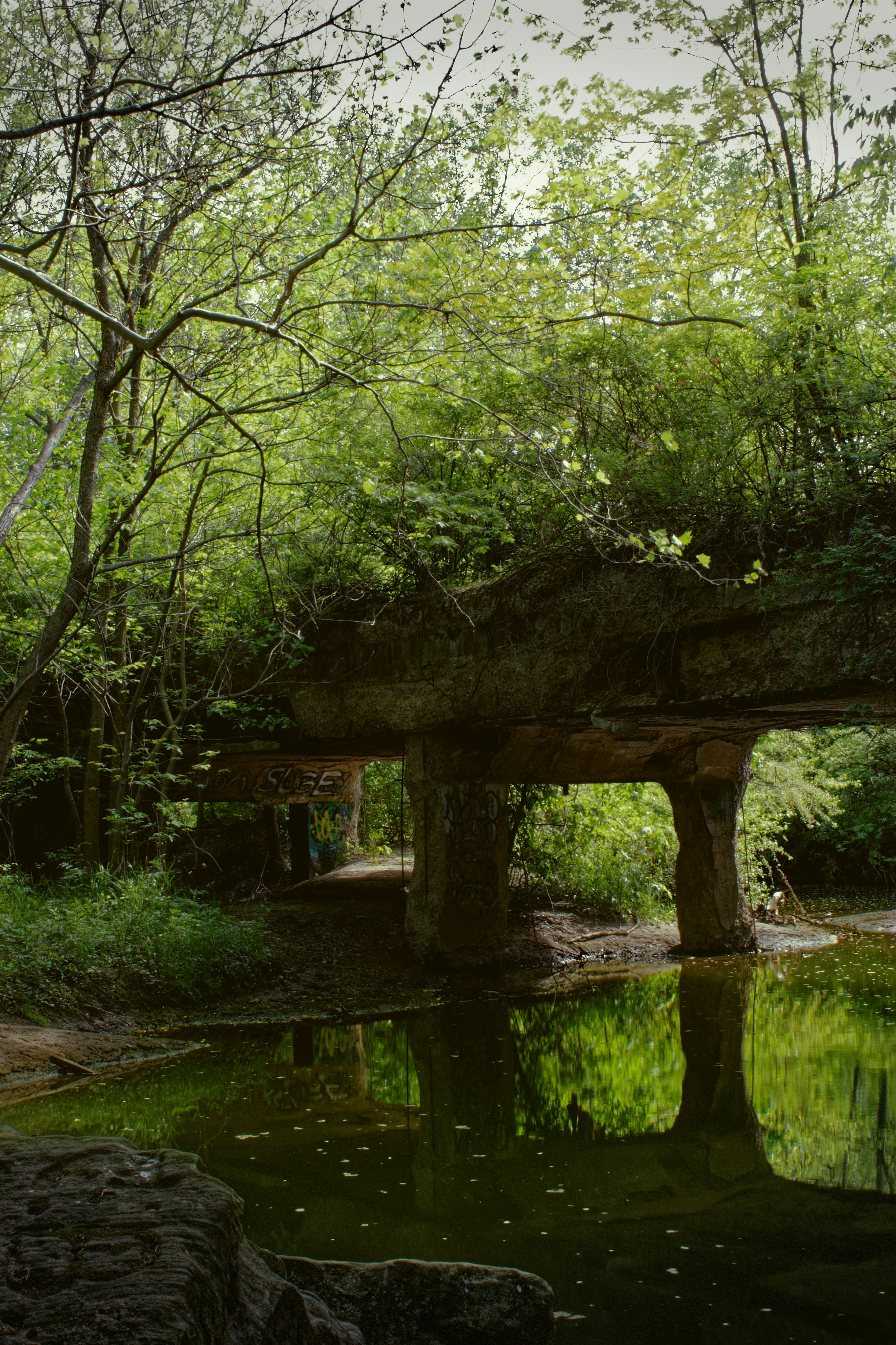 Photo by mrgreatheart