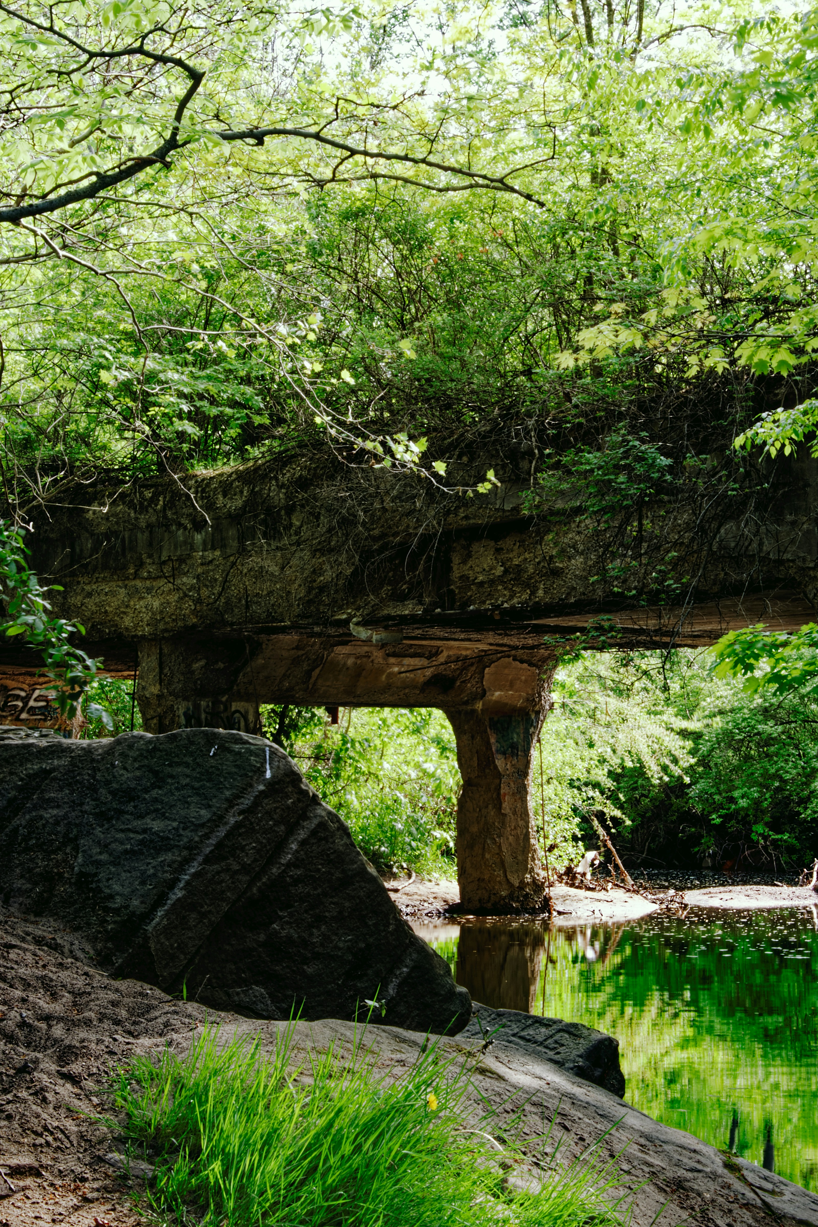 Photo by mrgreatheart