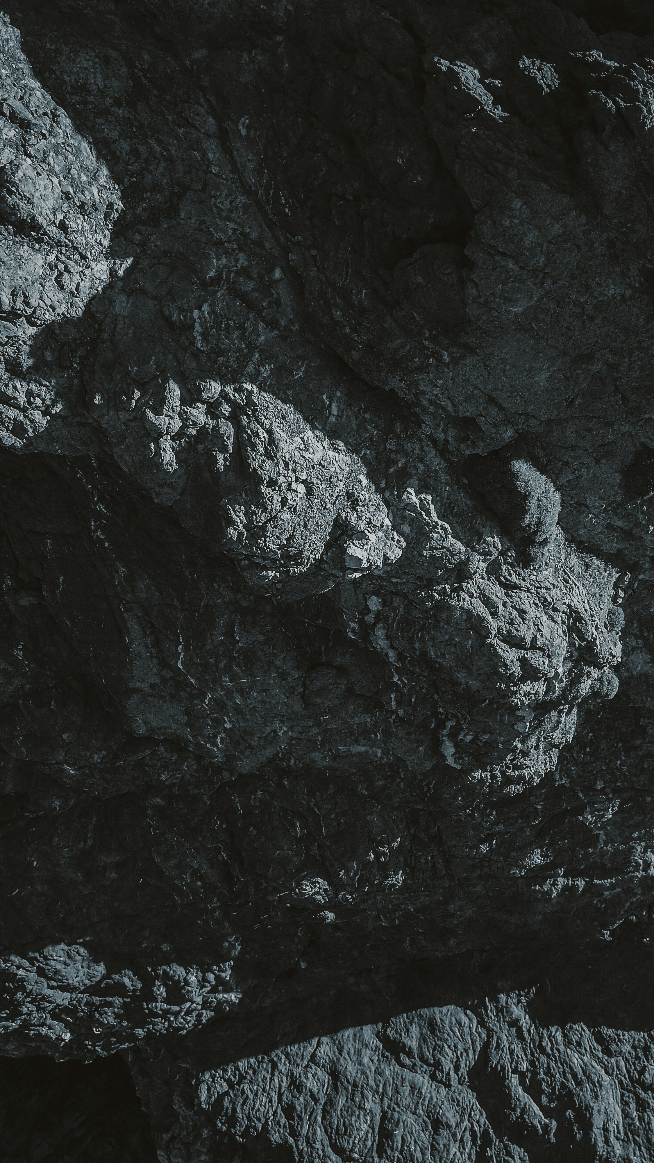 Photo by lsdforsociety