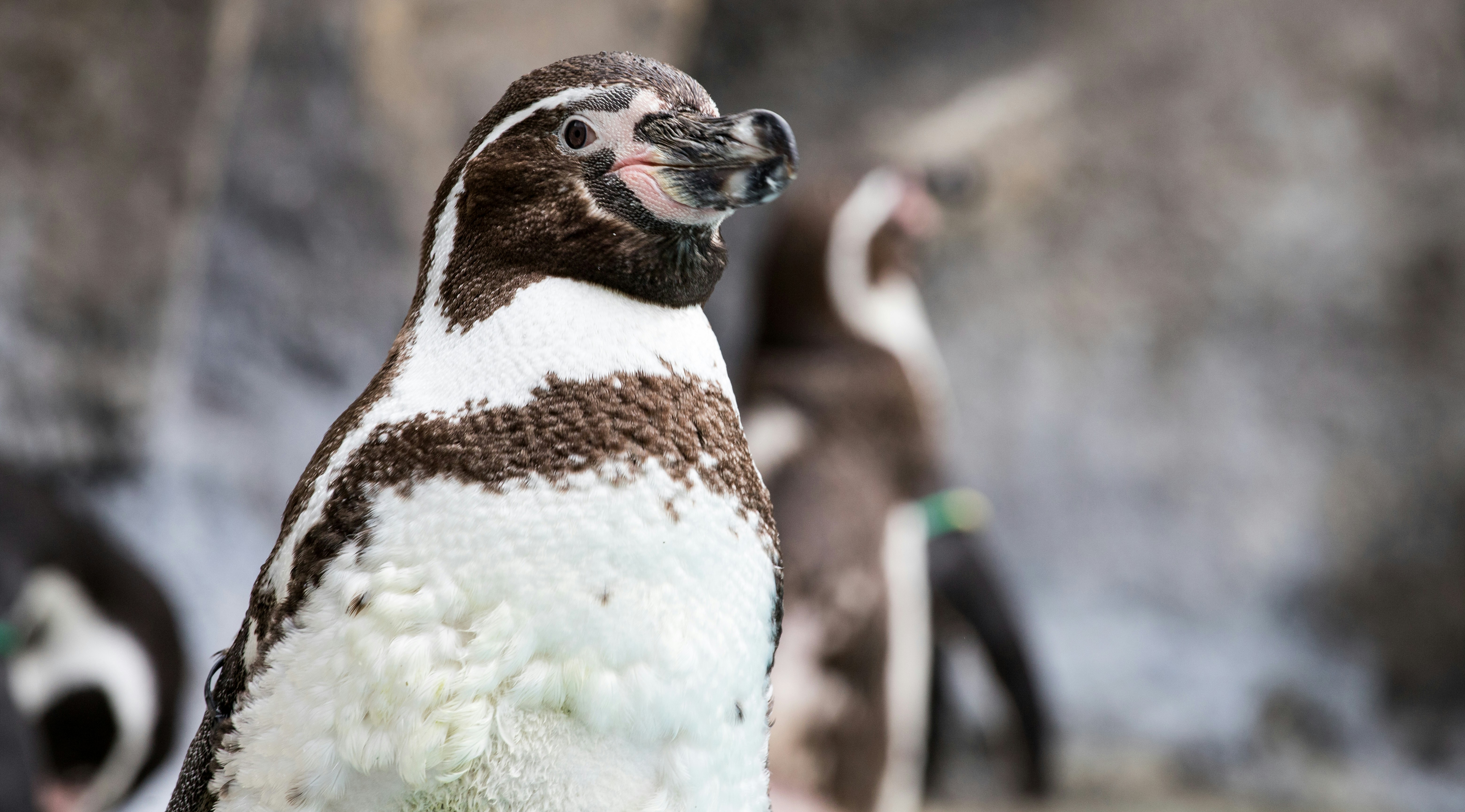 Photo by mateusz_feliksik