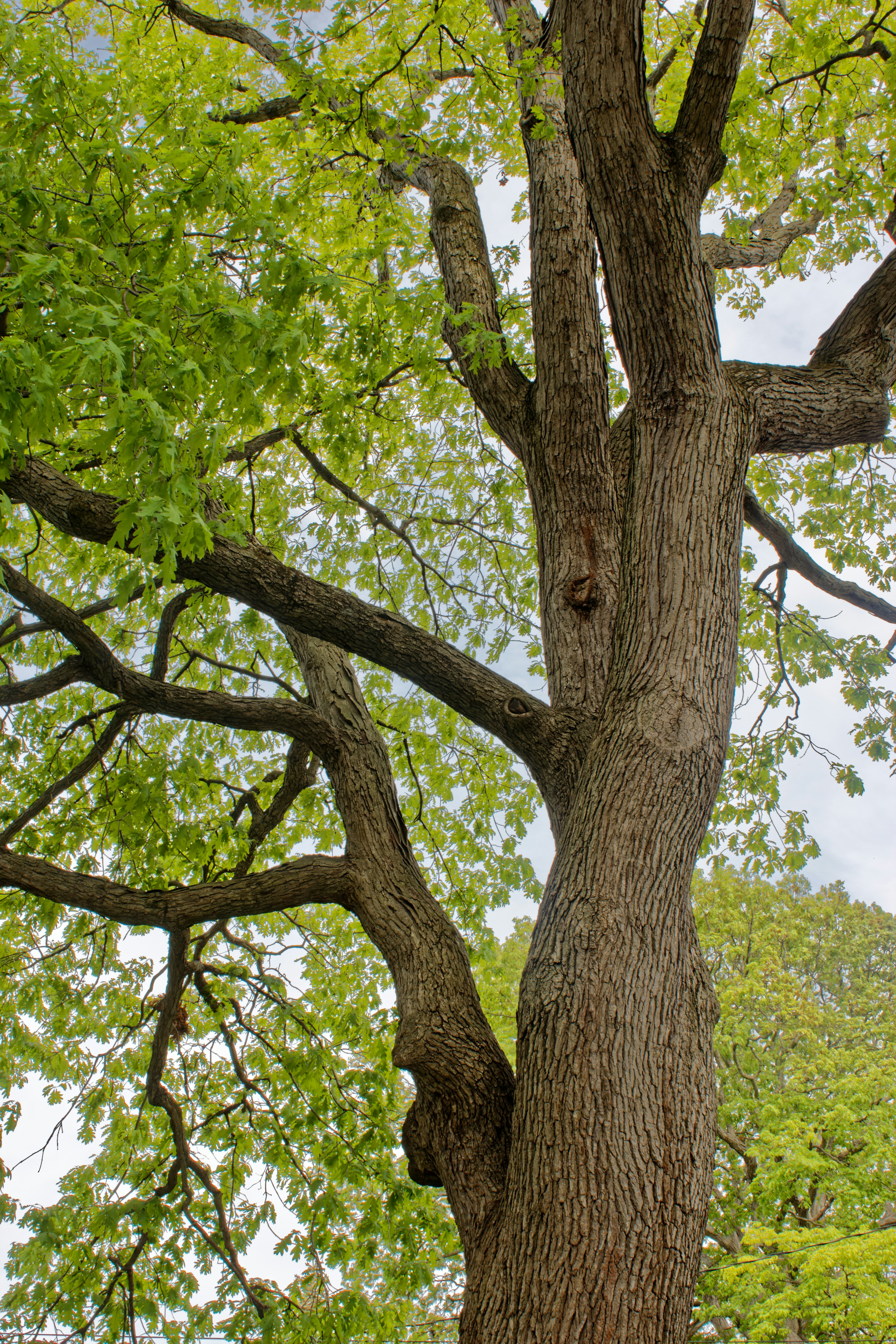 Photo by mrgreatheart