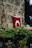 A red flag featuring a white emblem is hanging against a stone wall. In the foreground, lush green foliage partially obscures the bottom of the flag.