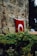 A red flag featuring a white emblem is hanging against a stone wall. In the foreground, lush green foliage partially obscures the bottom of the flag.