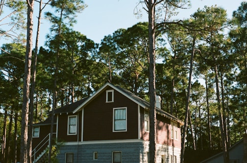A cozy home surrounded by pine trees showcasing freshly painted exterior trim.