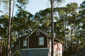 A two-story house surrounded by tall pine trees. The house features a dark wooden upper section with contrasting white window frames and a lighter lower section. Sunlight filters through the trees, creating a serene and natural ambiance.