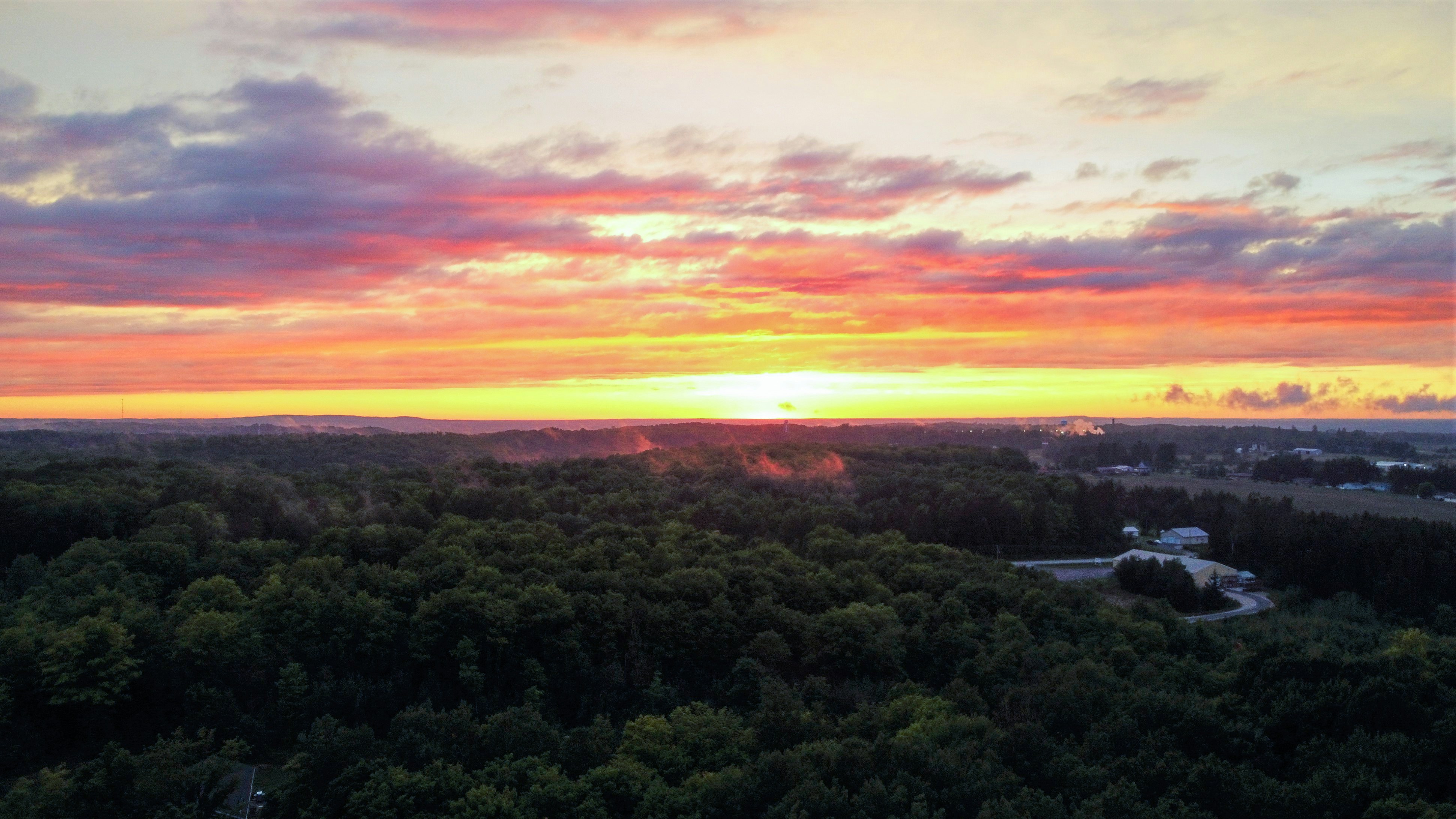 green trees on mountain during sunset