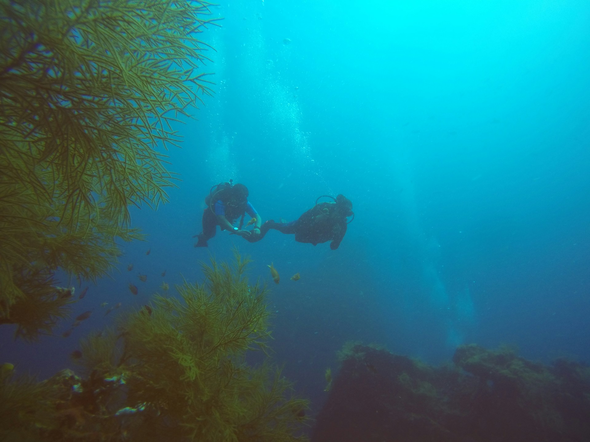 man in black wet suit swimming in the sea