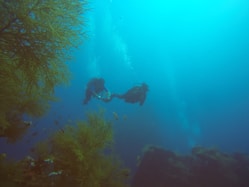 man in black wet suit swimming in the sea