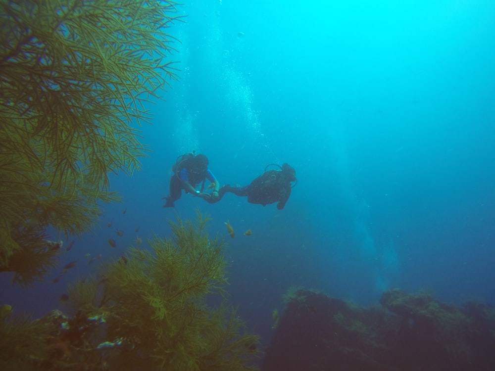 Mann im schwarzen Neoprenanzug schwimmt im Meer