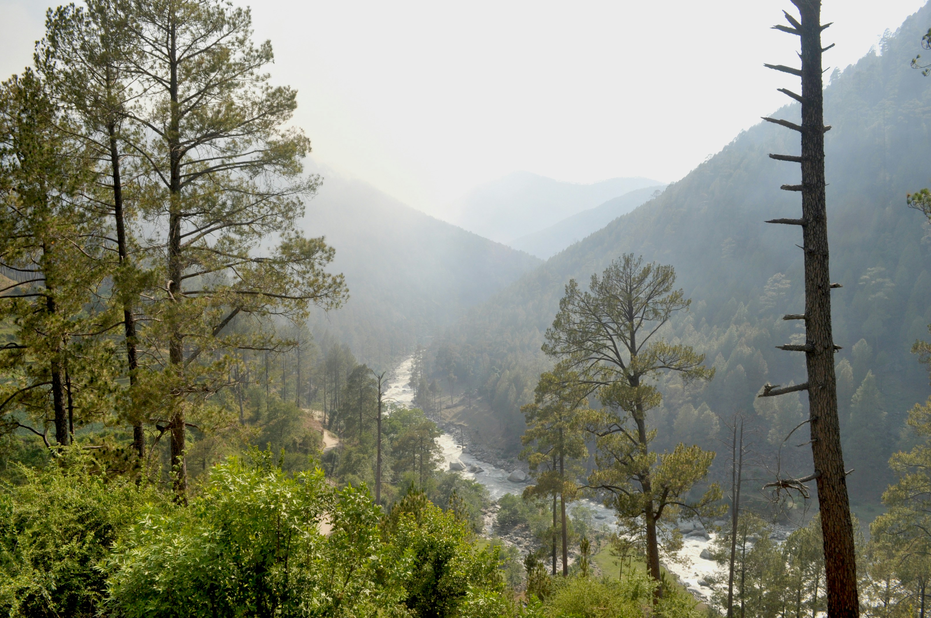 Photo by neildesouza427