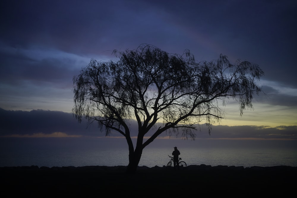 silhouette of 2 people standing near tree during sunset