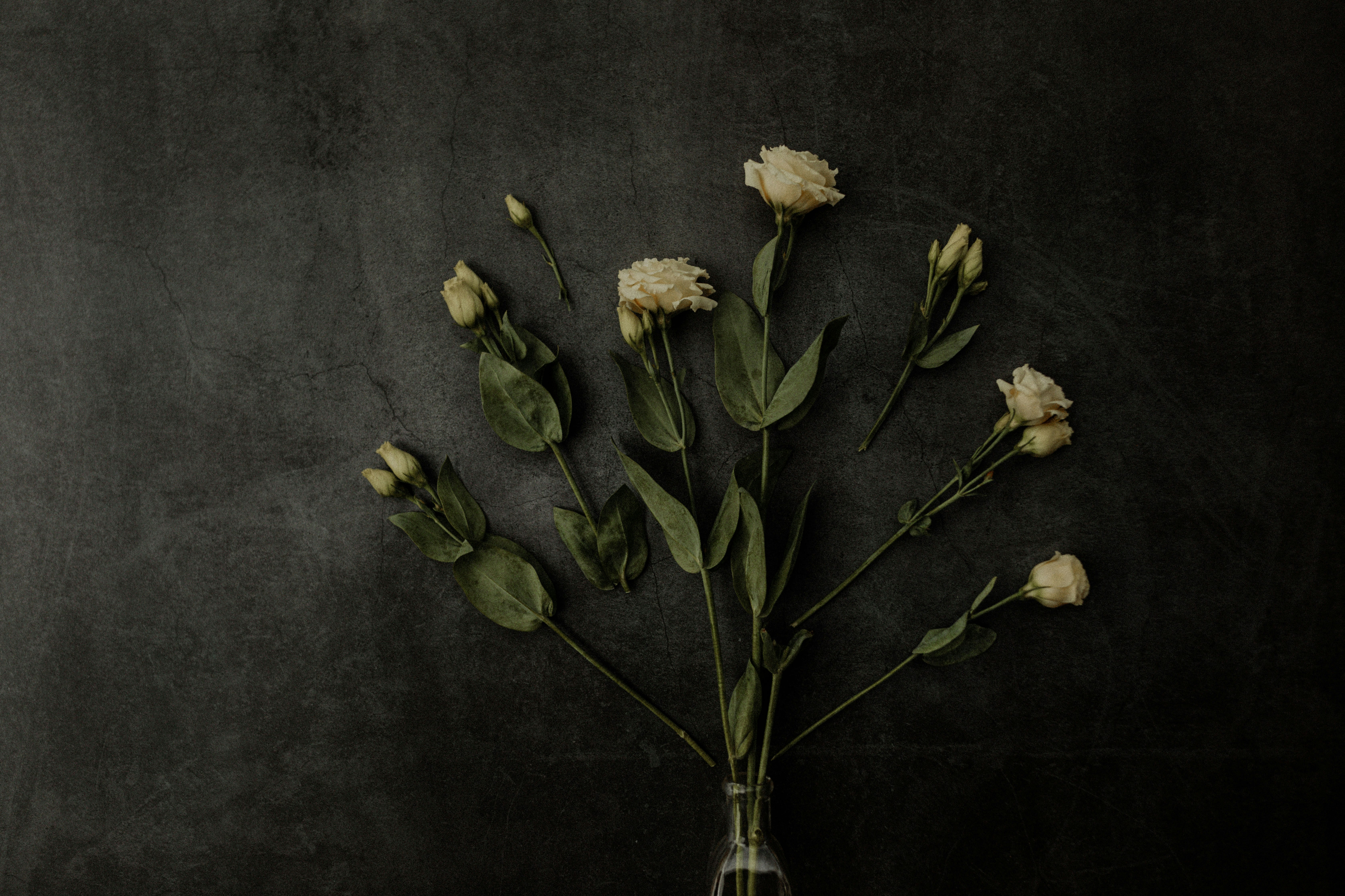 Photo by lynettephotographer