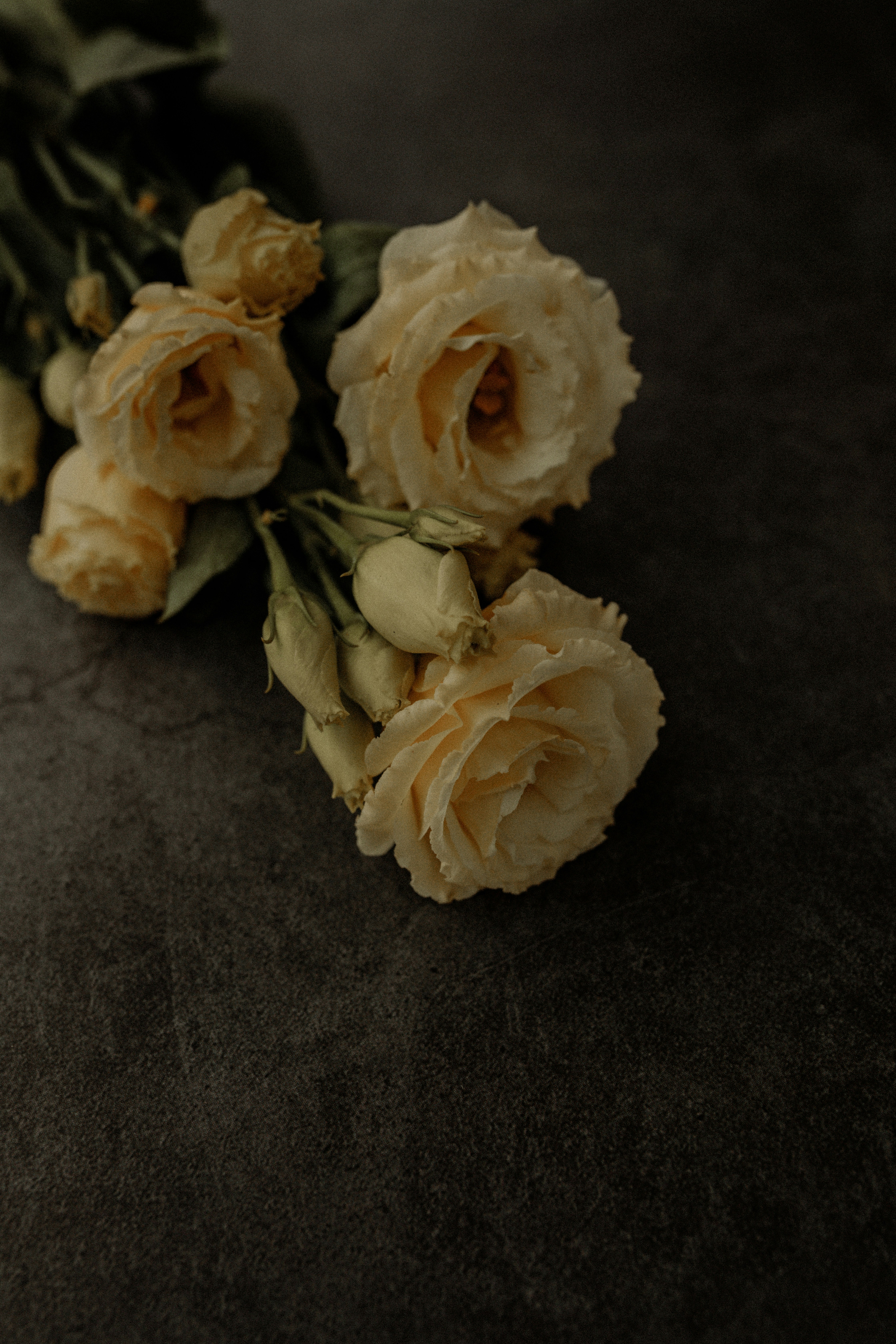 Photo by lynettephotographer