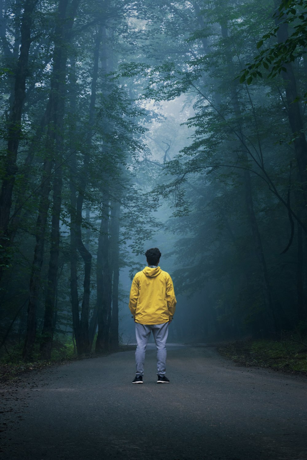 man in yellow hoodie walking on pathway in between trees